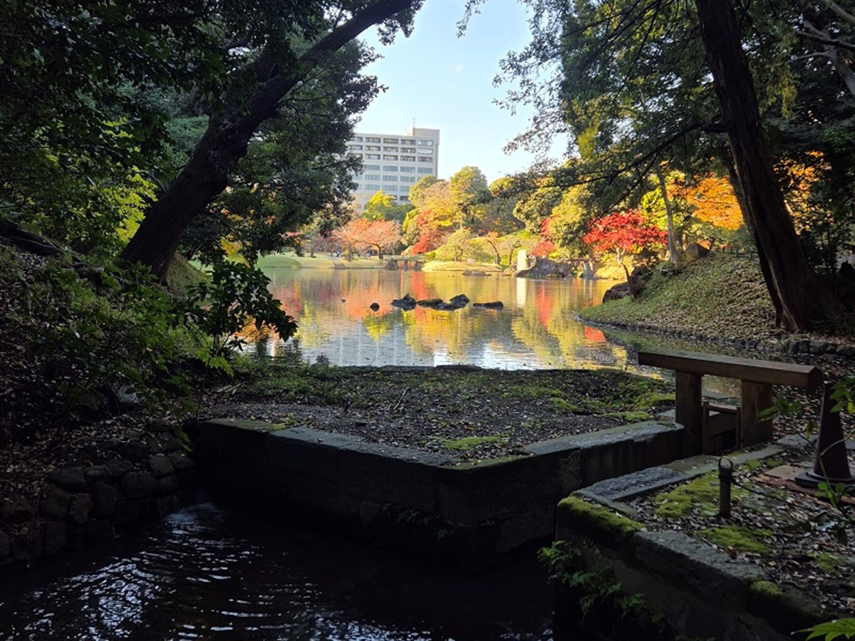An example of the many tranquil parks