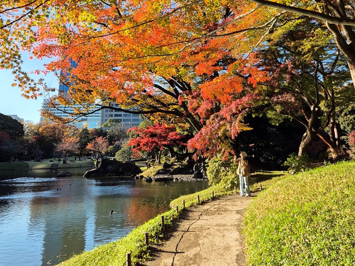 Koishikawa Korakuen Gardens