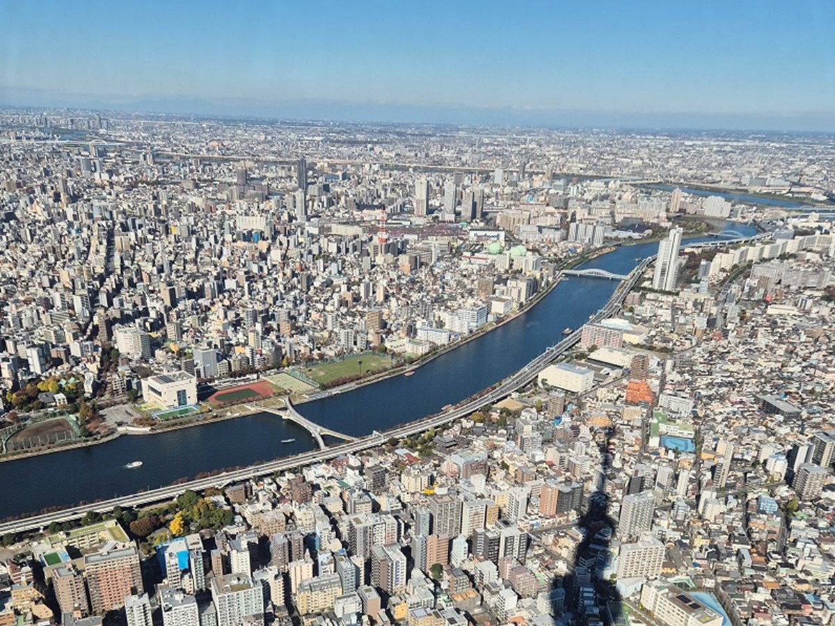 View from the Sky Tree