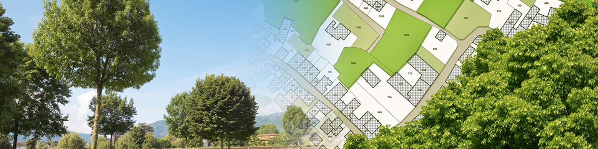 Image showing local plan transposed onto trees