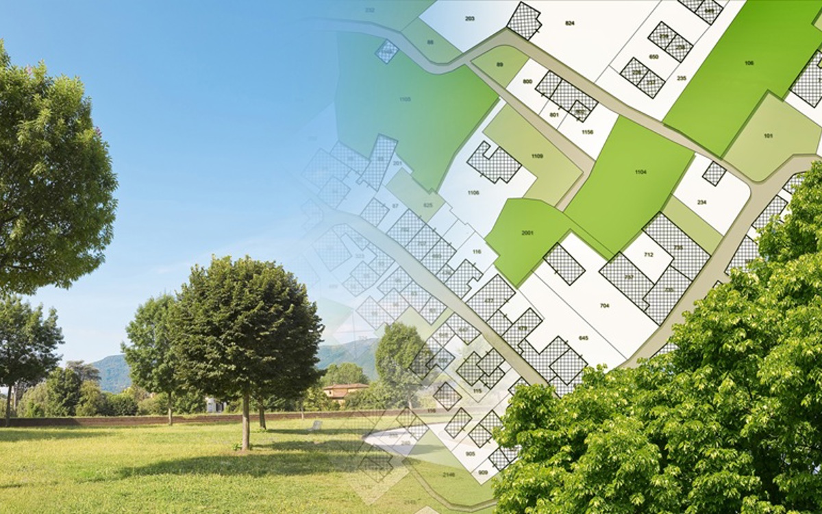 Image showing local plan transposed onto trees