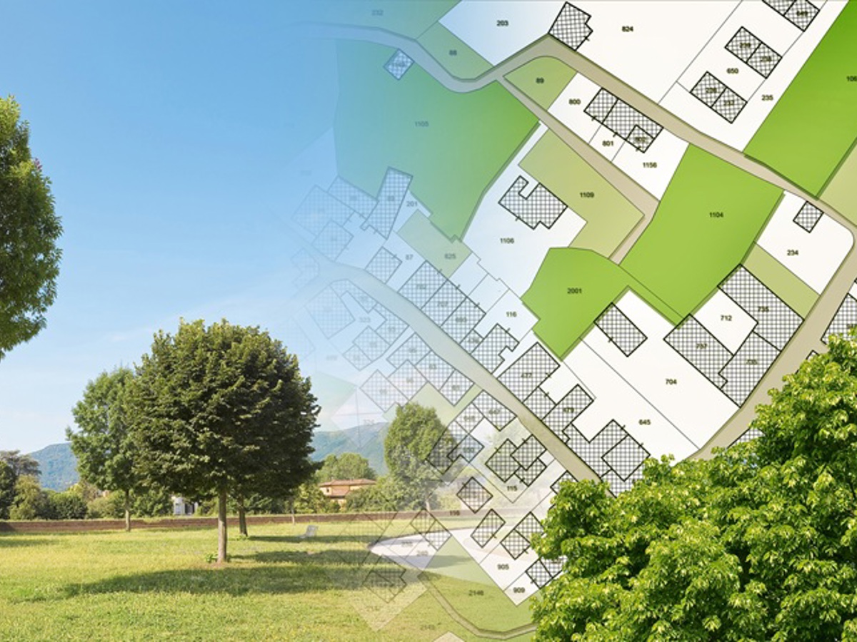 Image showing local plan transposed onto trees