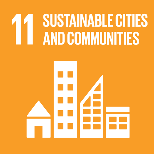 SDG11 image