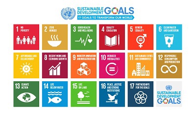 Sustainable development goals image