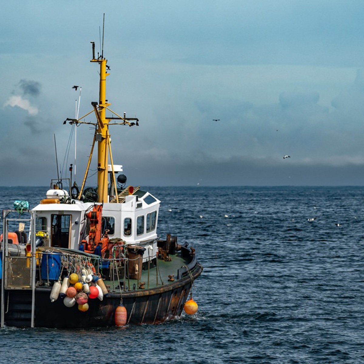 A small fishing boat with a yellow mass setting off towards a calm dark blue open sea with a lighter blue sky